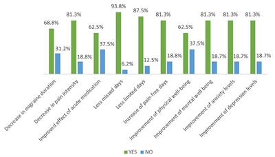 Assessment of the Effect of Erenumab on Efficacy and Quality-of-Life Parameters in a Cohort of Migraine Patients With Treatment Failure in Cyprus